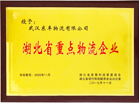 武漢東豐物流運輸公司獲湖北省重點物流企業