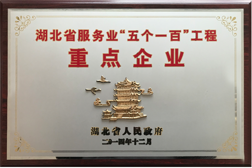 武漢東豐物流公司湖北省服務業重點物流企業證明